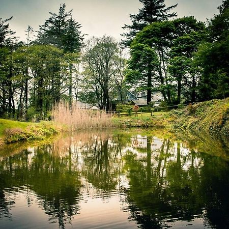 فندق Gellifawr Woodland Retreat Pontfaen المظهر الخارجي الصورة